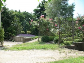 DSC00161