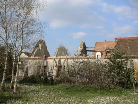 DSC00485
