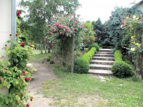 DSC09667