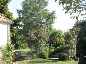 DSC09714