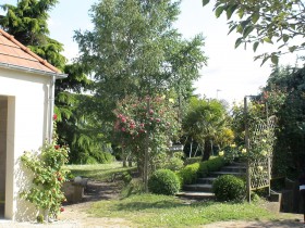 DSC09714