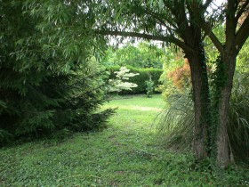 saules