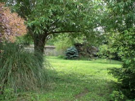 vue abies