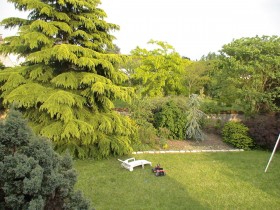 DSC05097