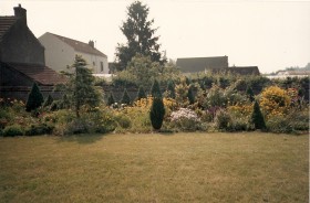 cèdre 1987
