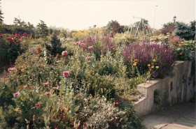 escalier 1987