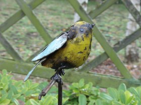 oiseau1
